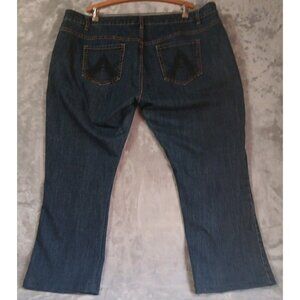Avenue Denim Jeans Women 24T Blue Stretch Denim Embroidered Pockets ALTERED READ